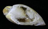 Chalcedony Replaced Gastropod Fossil With Druzy Quartz #29340-1